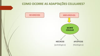 COMO OCORRE AS ADAPTAÇÕES CELULARES?
NECROSE APOPTOSE
(patológica) (fisiológica)
REVERSÍVEIS IRREVERSÍVEIS
MORTE
CELULAR
 