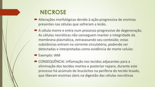 NECROSE
 Alterações morfológicas devido à ação progressiva de enzimas
presentes nas células que sofreram a lesão.
 A célula morre e entra num processo progressivo de degeneração.
As células necróticas não conseguem manter a integridade da
membrana plasmática, extravasando seu conteúdo; estas
substâncias entram na corrente circulatória, podendo ser
detectadas e interpretadas como evidência de morte celular.
 Exemplo: IAM
 CONSEQUÊNCIA: inflamação nos tecidos adjacentes para a
eliminação dos tecidos mortos e posterior reparo, durante este
processo há acúmulo de leucócitos na periferia do tecido lesado,
que liberam enzimas úteis na digestão das células necróticas
 