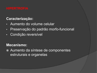 HIPERTROFIA


Caracterização:
• Aumento do volume celular
• Preservação do padrão morfo-funcional
• Condição reversível


Mecanismo:
 Aumento da síntese de componentes
  estruturais e organelas
 