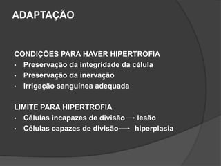 ADAPTAÇÃO


CONDIÇÕES PARA HAVER HIPERTROFIA
• Preservação da integridade da célula
• Preservação da inervação
• Irrigação sanguínea adequada


LIMITE PARA HIPERTROFIA
• Células incapazes de divisão    lesão
• Células capazes de divisão     hiperplasia
 