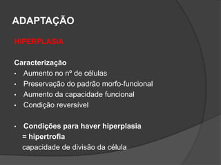 ADAPTAÇÃO

HIPERPLASIA

Caracterização
• Aumento no nº de células
• Preservação do padrão morfo-funcional
• Aumento da capacidade funcional
• Condição reversível


•   Condições para haver hiperplasia
    = hipertrofia
    capacidade de divisão da célula
 