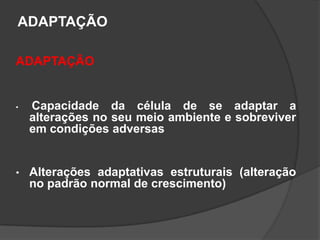ADAPTAÇÃO

ADAPTAÇÃO


•   Capacidade da célula de se adaptar a
    alterações no seu meio ambiente e sobreviver
    em condições adversas


•   Alterações adaptativas estruturais (alteração
    no padrão normal de crescimento)
 