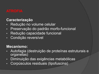 ATROFIA

Caracterização
• Redução no volume celular
• Preservação do padrão morfo-funcional
• Redução capacidade funcional
• Condição reversível


Mecanismo:
• Autofagia (destruição de proteínas estruturais e
  organelas)
• Diminuição das exigências metabólicas
• Corpúsculos residuais (lipofuscina)
 