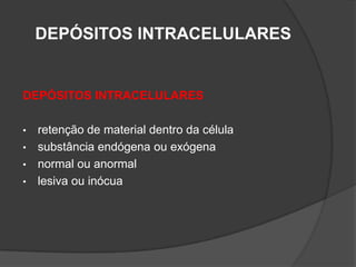 DEPÓSITOS INTRACELULARES


DEPÓSITOS INTRACELULARES

•   retenção de material dentro da célula
•   substância endógena ou exógena
•   normal ou anormal
•   lesiva ou inócua
 