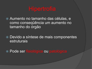 Hipertrofia
   Aumento no tamanho das células, e
    como conseqüência um aumento no
    tamanho do órgão

   Devido a síntese de mais componentes
    estruturais

   Pode ser fisiológica ou patológica
 