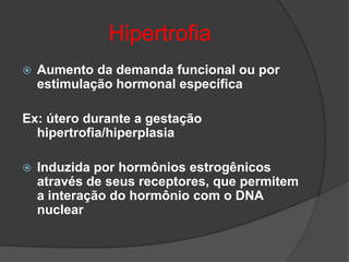 Hipertrofia
   Aumento da demanda funcional ou por
    estimulação hormonal específica

Ex: útero durante a gestação
  hipertrofia/hiperplasia

   Induzida por hormônios estrogênicos
    através de seus receptores, que permitem
    a interação do hormônio com o DNA
    nuclear
 