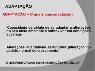 ADAPTAÇÃO
ADAPTAÇÃO – O que é uma adaptação?
• Capacidade da célula de se adaptar a alterações
no seu meio ambiente e sobreviver em condições
adversas
• Alterações adaptativas estruturais (alteração no
padrão normal de crescimento)
O QUE PODE CAUSAR ESSAS ALTERAÇÕES NA CÉLULA?
 