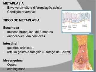 METAPLASIA
• Envolve divisão e diferenciação celular
• Condição reversível
TIPOS DE METAPLASIA
Escamosa
• mucosa brônquica de fumantes
• endocervice em cervicites
Intestinal
• gastrites crônicas
• refluxo gastro-esofágico (Esôfago de Barrett)
Mesenquimal
• Óssea
• cartilaginosa
 