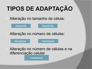 TIPOS DE ADAPTAÇÃO
 Alteração no tamanho da célula:
 Alteração no número de células:
 Alteração no número de células e na
diferenciação celular
hipotrofia hipertrofia
hipoplasia hiperplasia
metaplasia
 