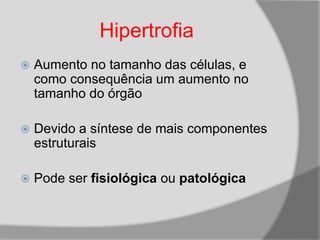 Hipertrofia
 Aumento no tamanho das células, e
como consequência um aumento no
tamanho do órgão
 Devido a síntese de mais componentes
estruturais
 Pode ser fisiológica ou patológica
 