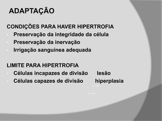 ADAPTAÇÃO
CONDIÇÕES PARA HAVER HIPERTROFIA
• Preservação da integridade da célula
• Preservação da inervação
• Irrigação sanguínea adequada
LIMITE PARA HIPERTROFIA
• Células incapazes de divisão lesão
• Células capazes de divisão hiperplasia
 