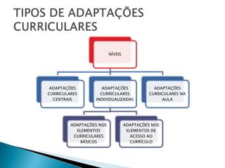 TIPOS DE ADAPTAÇÕES CURRICULARES