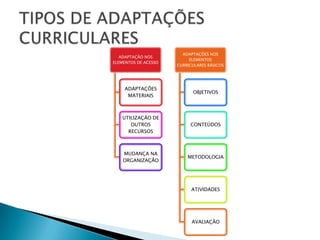 TIPOS DE ADAPTAÇÕES CURRICULARES