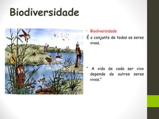 Biodiversidade
• Biodiversidade
É o conjunto de todos os seres
vivos.
“ A vida de cada ser vivo
depende de outros seres
vivos.”
 