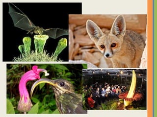 Adaptações dos seres vivos