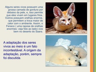 Alguns seres vivos possuem uma
grossa camada de gordura por
debaixo da pele, e, isso permite
que eles vivam em lugares frios.
Outros possuem orelhas enorme,
que permitem a troca maior de
calor com o ambiente. Assim, o
Feneco ( uma raposa de orelhas
enormes- veja foto ao lado) vive
bem no deserto do Saara.
A adaptação dos seres
vivos ao meio é um fato
incontestável. A origem da
adaptação, porém, sempre
foi discutida.
 