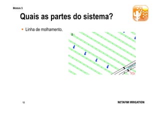 Módulo 5

Quais as partes do sistema?
Linha de molhamento.

12

 