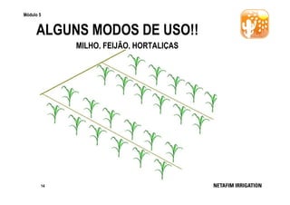 Módulo 5

ALGUNS MODOS DE USO!!
MILHO, FEIJÃO, HORTALIÇAS

14

 