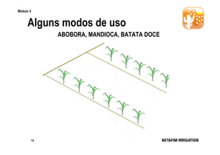 Módulo 5

Alguns modos de uso
ABOBORA, MANDIOCA, BATATA DOCE

15

 