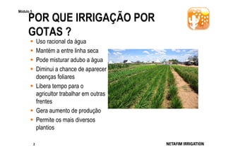 Módulo 5

POR QUE IRRIGAÇÃO POR
GOTAS ?
Uso racional da água
Mantém a entre linha seca
Pode misturar adubo a água
Diminui a chance de aparecer
doenças foliares
Libera tempo para o
agricultor trabalhar em outras
frentes
Gera aumento de produção
Permite os mais diversos
plantios
2

 