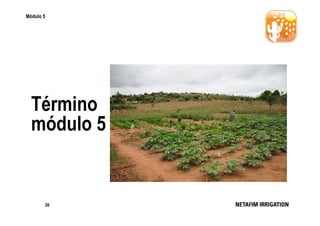 Módulo 5

Término
módulo 5

26

 