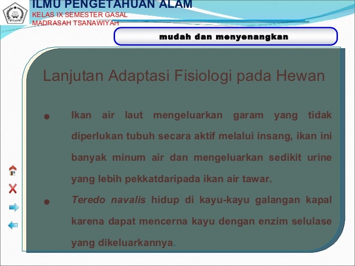 Adaptasi Adaptasi