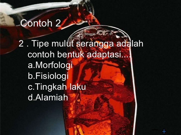 Adaptasi