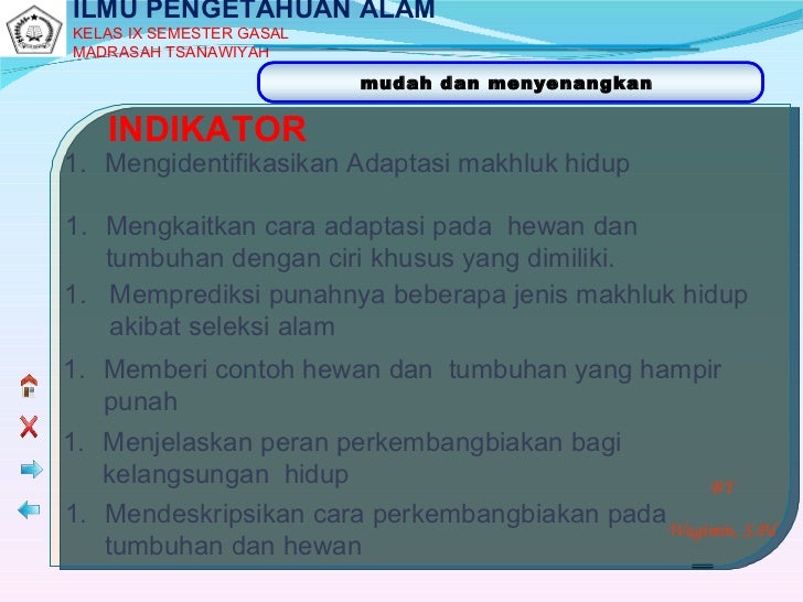 Adaptasi