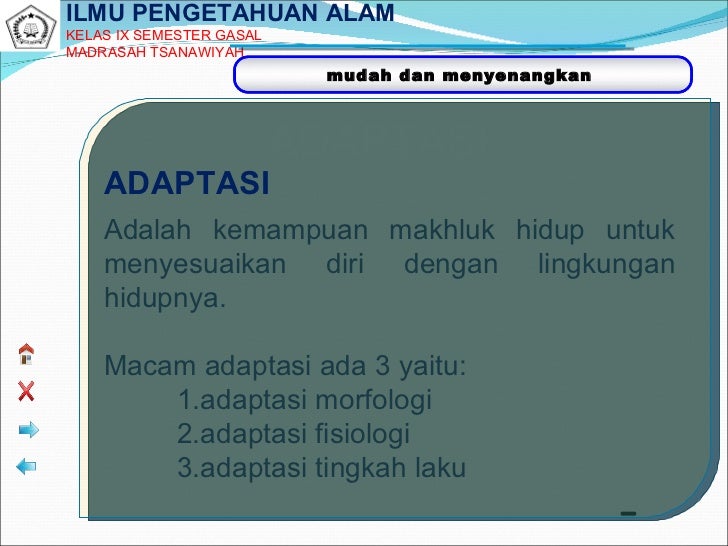 Indikator Kemampuan Berpikir Reflektif Adalah