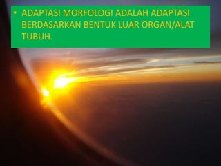 • ADAPTASI MORFOLOGI ADALAH ADAPTASI
  BERDASARKAN BENTUK LUAR ORGAN/ALAT
  TUBUH.
 