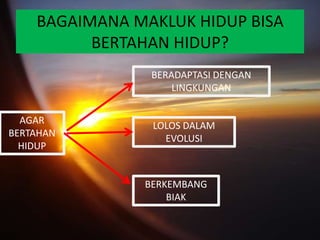 BAGAIMANA MAKLUK HIDUP BISA
          BERTAHAN HIDUP?
                BERADAPTASI DENGAN
                    LINGKUNGAN


  AGAR          LOLOS DALAM
BERTAHAN
                  EVOLUSI
  HIDUP


               BERKEMBANG
                   BIAK
 