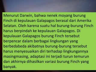 Menurut Darwin, bahwa nenek moyang burung
Finch di kepulauan Galapagos berasal dari Amerika
Selatan. Oleh karena suatu hal burung-burung Finch
harus berpindah ke kepulauan Galapagos. Di
kepulauan Galapagos burung Finch tersebut
berpencar dalam berbagai lingkungan yang
berbedabeda akibatnya burung-burung tersebut
harus menyesuaikan diri terhadap lingkungannya
masingmasing, adaptasi ini terjadi turun temurun
dan akhirnya dihasilkan variasi burung Finch yang
banyak.
 