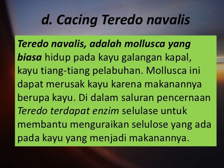 Adaptasi dan seleksi mh 1