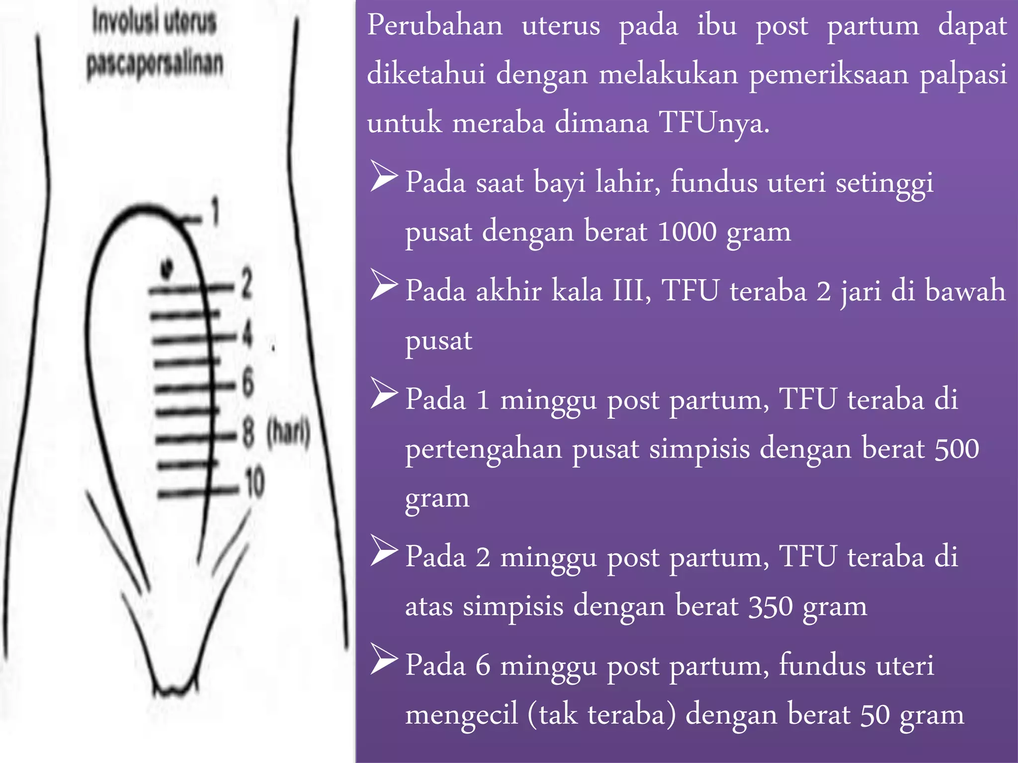 Adaptasi fisiologis dan psikologis ibu post partum | PPTX
