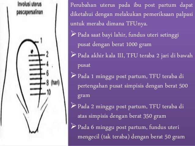 Adaptasi Fisiologis Dan Psikologis Ibu Post Partum