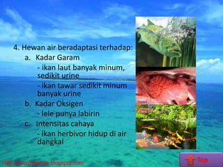 620 Koleksi Ikan Air Laut Banyak Minum Sedikit Urine Gratis