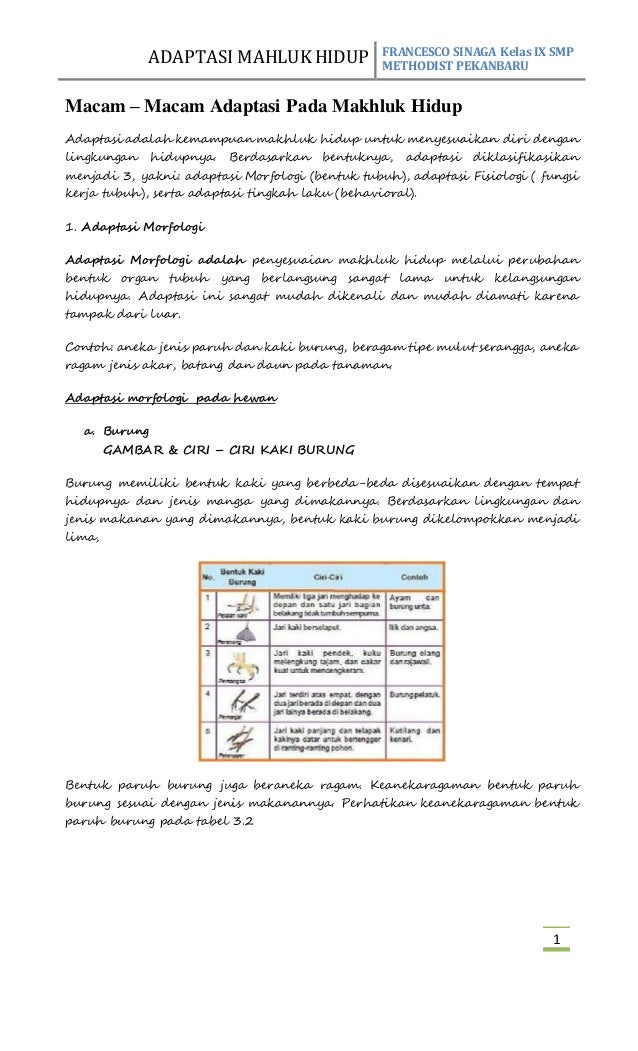 Adaptasi Mahluk Hidup Terhadap Lingkungan By Sesco