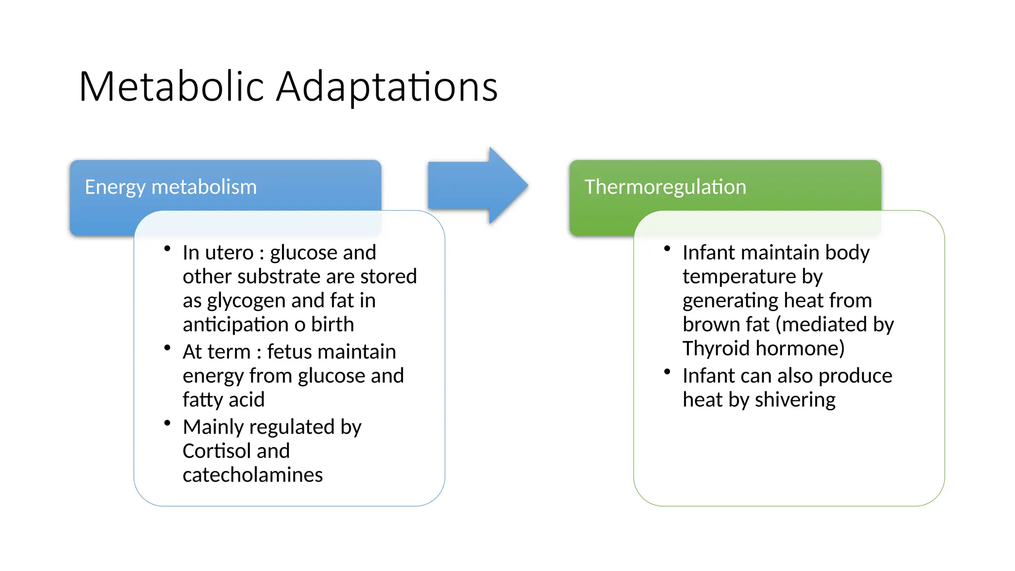 Adaptation Energy Adaptasi Neonatus Intrauterine ke Ekstrauterine.pptx