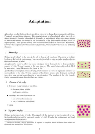 Adaptation


Adaptation is deﬁned ad reaction to persistent stress or to changed environmental conditions.
Previously normal tissue changes. The adaptation can be physiological, where the cells or
tissue adapts to changing physiological demands, or pathological, where the tissue adapts
to some stress caused by change in the environment or by some disease of other organ or
organ systems. This system usually helps to survive various hostile conditions. Sometimes,
however, the adaptation itself causes another problems, which can be worse than the initiating
stimulus.


1     Atrophy
Deﬁned as shrinkage1 in the size of the cell by loss of cell substance. Can occur at cellular
level or at the level of whole organs (when applied to whole organs, atrophy usually refers to
decreased number of cells).
Atrophy can be numeric, where the tissue (or organ) size is decreased due to decreases in the
number of cells. Typical example is the bone marrow. The space between the cells is ﬁlled
by some other tissue, like connective tissue or fat.
Another type of atrophy is simple atrophy, where decrease in tissue or organ size is caused by
decreased size of the cells. Typical example is the striated muscle after decreased workload
(e.g. after long lasting immobilization of an extremity). The number of the cells (muscle
ﬁbres) remains the same, but the ﬁbres are thinner.

1.1    Causes of atrophy
    • decreased energy supply or nutrition
         – dimished blood supply
         – inadequate nutrition
    • decreased workload or stimulation
         – loss of neural stimulation
         – loss of endocrine stimulation
    • aging


2     Hypertrophy
Deﬁned as increased size of cells. On organ level the increase in size is achieved by en-
larging the cells (but not by increased number of cells). Usually due to increased workload
(compensatory hypertrophy).
   1
     The size of atrophic tissue is diminished, as opposed to hypoplasia, where the tissue never reached its
proper size and is small from the beginning


                                                     1
 