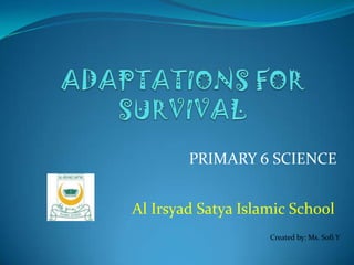 PRIMARY 6 SCIENCE


Al Irsyad Satya Islamic School
                    Created by: Ms. Sofi Y
 