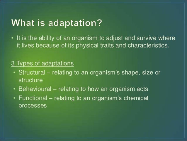 Adaptation by Sarah