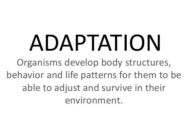 Adaptation