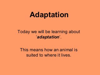 Adaptation 
Today we will be learning about 
‘adaptation’. 
This means how an animal is 
suited to where it lives. 
 