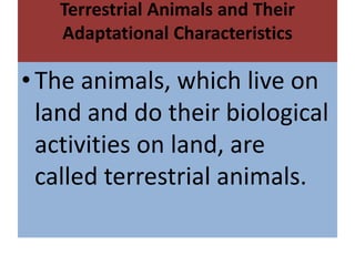 Terrestrial Animals and Their
Adaptational Characteristics
• The animals, which live on
land and do their biological
activities on land, are
called terrestrial animals.
 