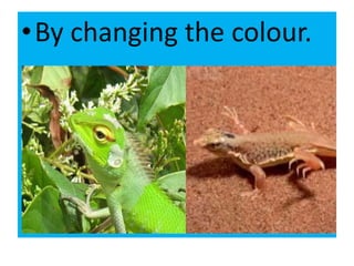 •By changing the colour.
 