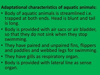 Adaptational characteristics of aquatic animals:
• Body of aquatic animals is streamlined i.e.
trapped at both ends. Head is blunt and tail
is long.
• Body is provided with air sacs or air bladder,
so that they do not sink when they stop
swimming.
• They have paired and unpaired fins, flippers
and paddles and webbed legs for swimming.
• They have gills as respiratory organ.
• Body is provided with lateral line as sense
organ.
 