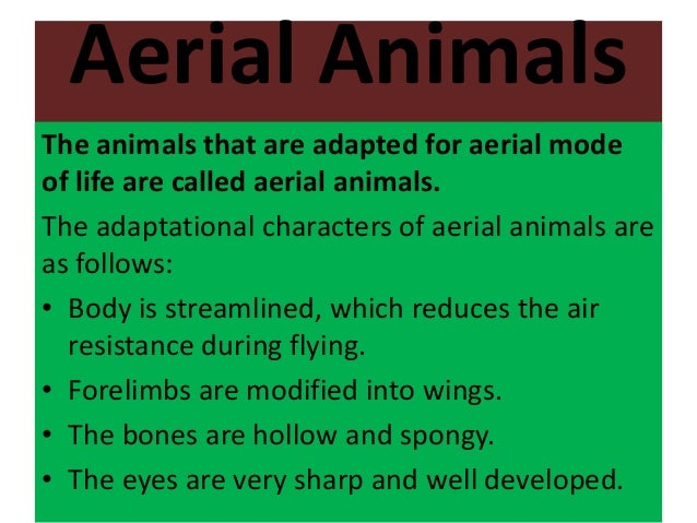 Adaptation