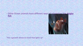 - Other Ocean animals have different ways of adaptation like: Angler
fish
“Has a growth above its head that lights up”
 