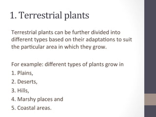 Adaptation for survival in plants | PDF