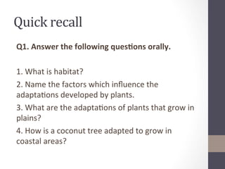 Adaptation for survival in plants | PDF
